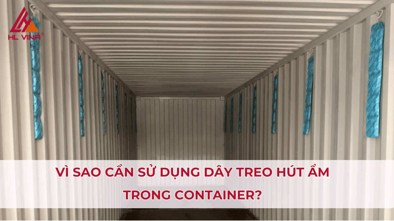 Top 5 Loại Dây Treo Hút Ẩm Container Tốt Nhất Hiện Nay
