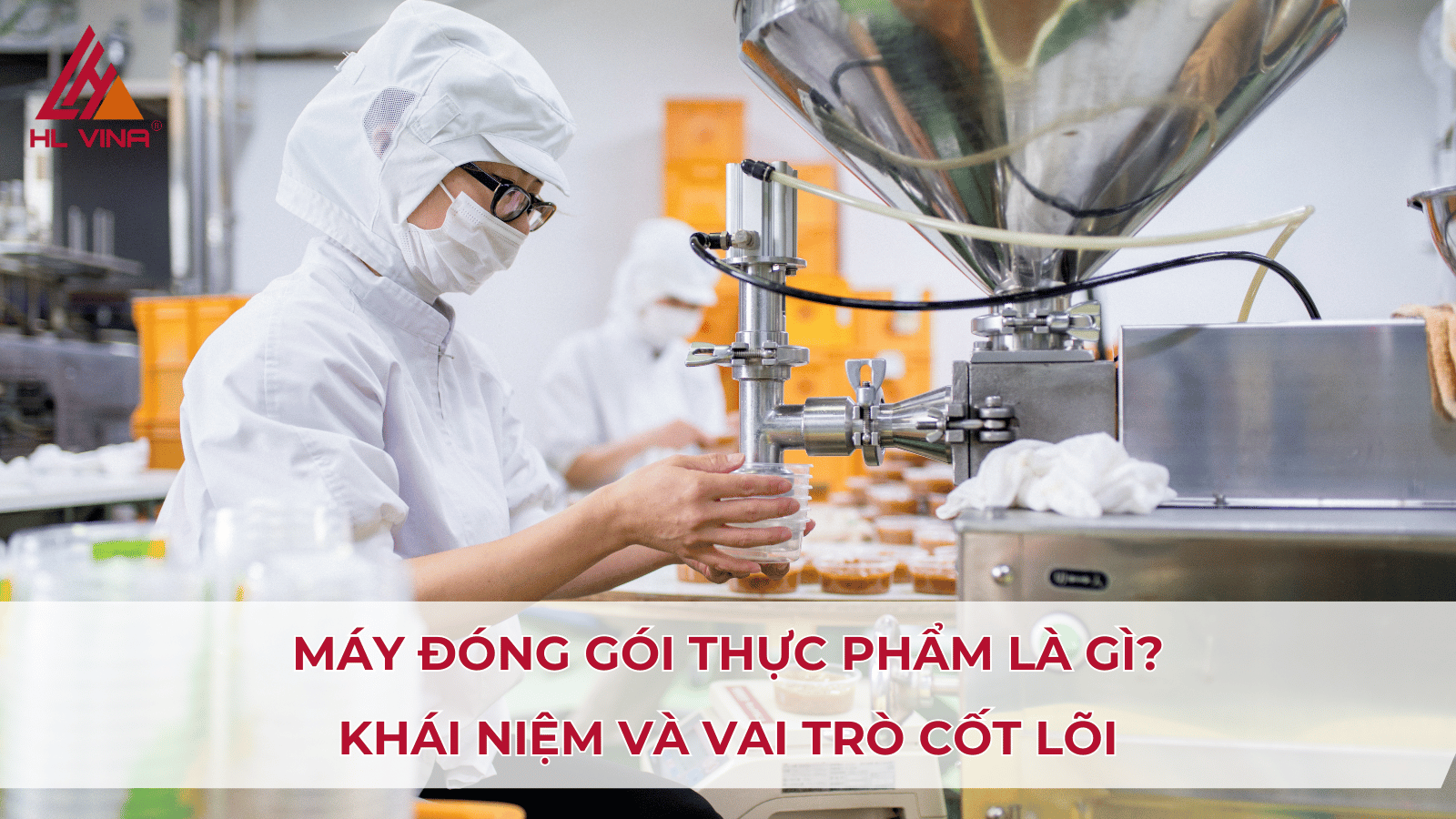 Máy Đóng Gói Thực Phẩm Phù Hợp Cho Từng Loại Hàng