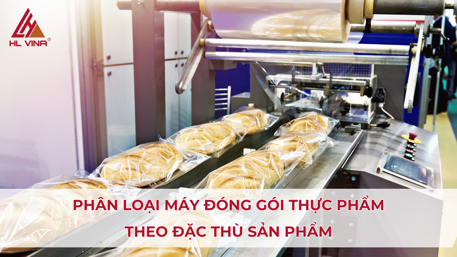 Máy Đóng Gói Thực Phẩm Phù Hợp Cho Từng Loại Hàng
