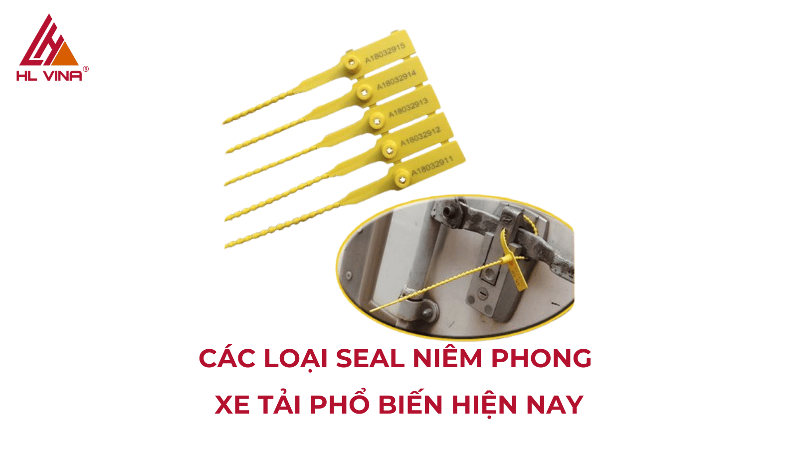 Seal niêm phong container: Phân loại và giá