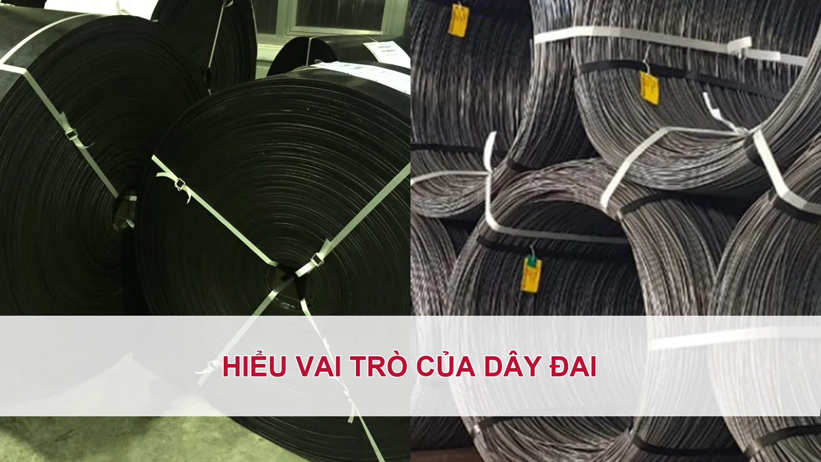 Hiểu vai trò của dây đai trước khi thao tác