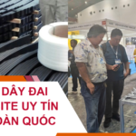 Đại Lý Dây Đai Composite Uy Tín Trên Toàn Quốc